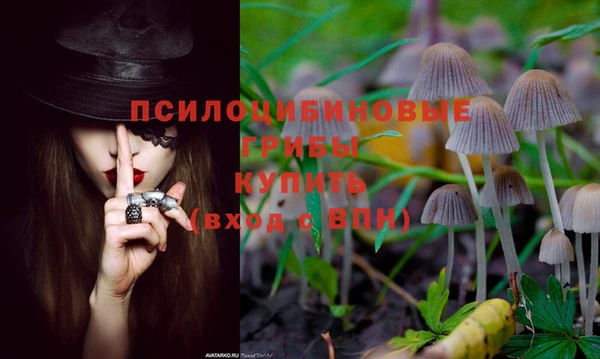 эйфоретик Алексеевка
