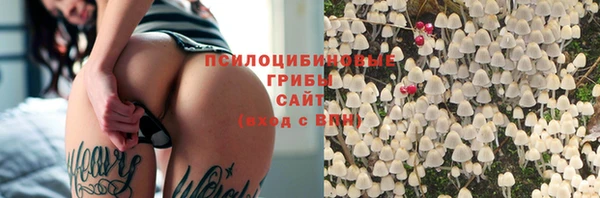 спайс Алексин