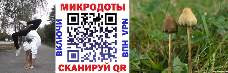 наркота  Арск  Псилоцибиновые грибы Magic Shrooms 